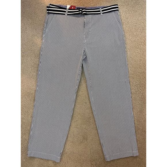 NWT Izod The Sandybay Seersucker Pant w/Belt 36X29- Straight Fit/Flat Front - Picture 1 of 7